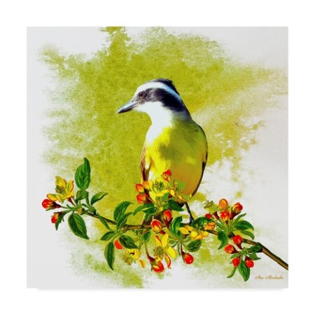 Trademark Fine Art Ata Alishahi 'Bird Collection 23' Canvas Art, 24x24 ALI22455-C2424GG